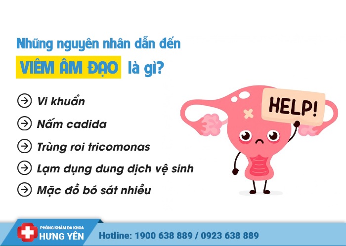 3 địa chỉ chữa bệnh viêm âm đạo ở Hưng Yên chất lượng 2024