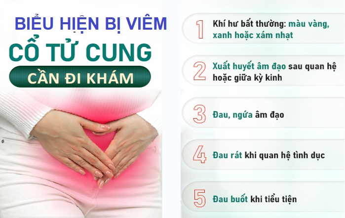 viem-co-tu-cung