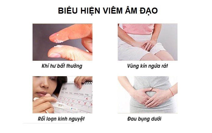 viem-am-dao