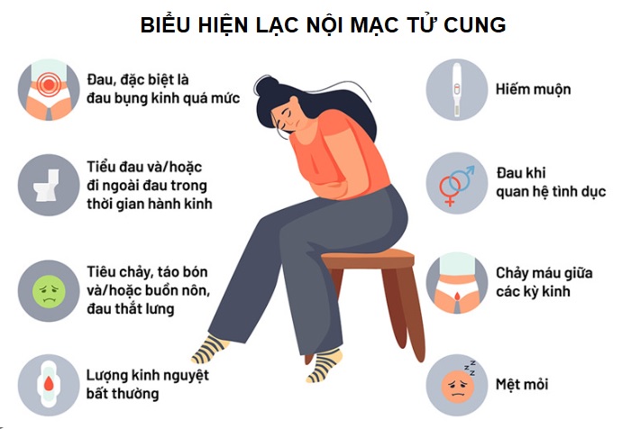 lac-loi-mac-co-tu-cung