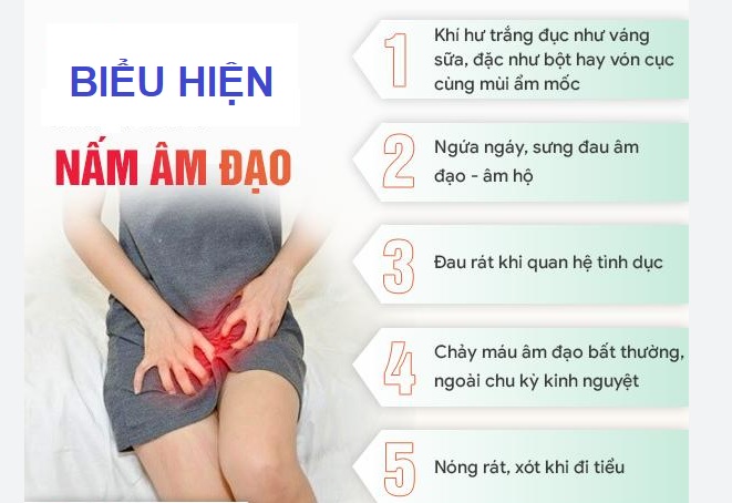 nam-am-dao